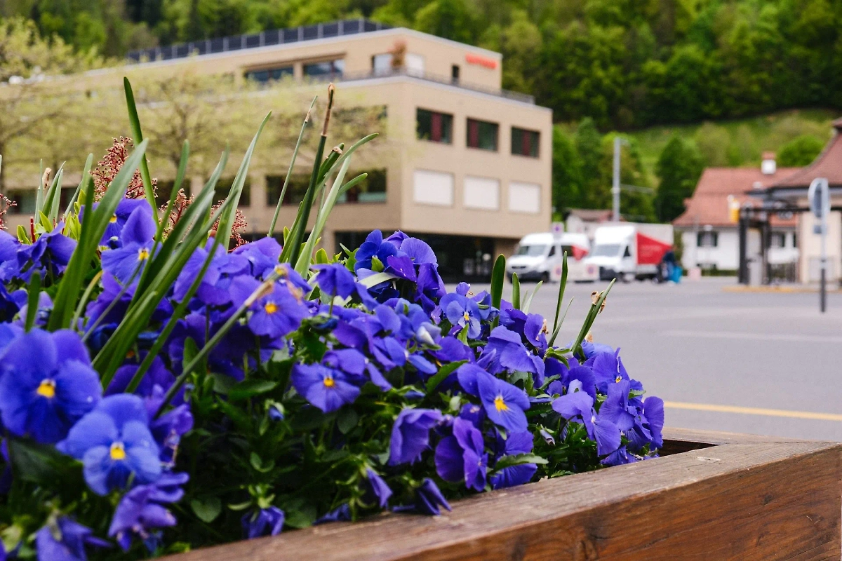 Обложка © Unsplash / Alex Presa