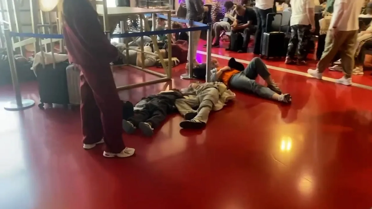 Обложка © SHOT