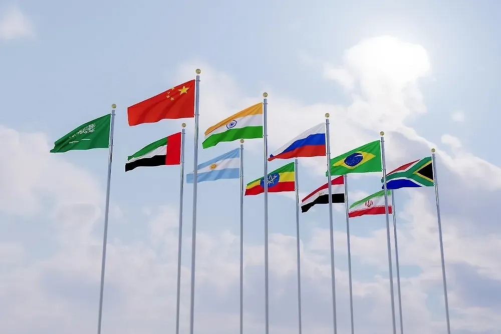 Обложка © Shutterstock / FOTODOM / justit