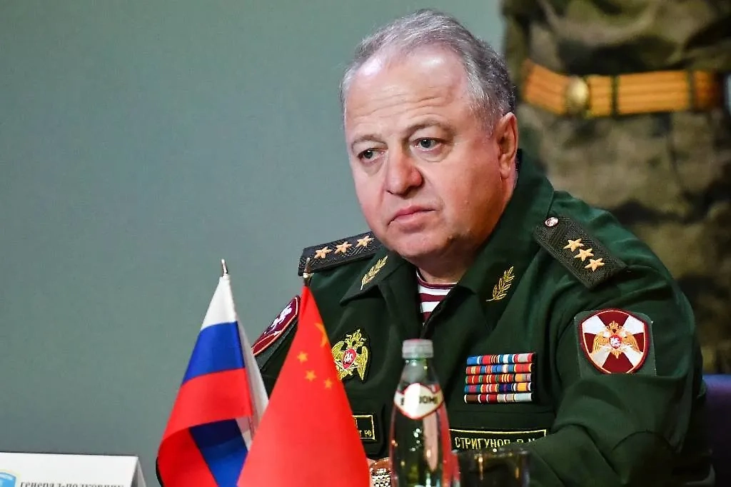 Генерал-полковник Виктор Стригунов. Обложка © ТАСС / Кирилл Кухмарь