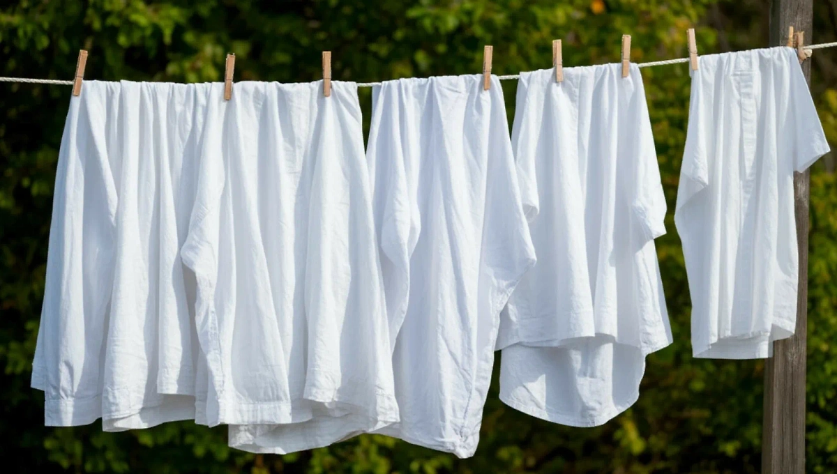 Обложка © Шедеврум / Life.ru