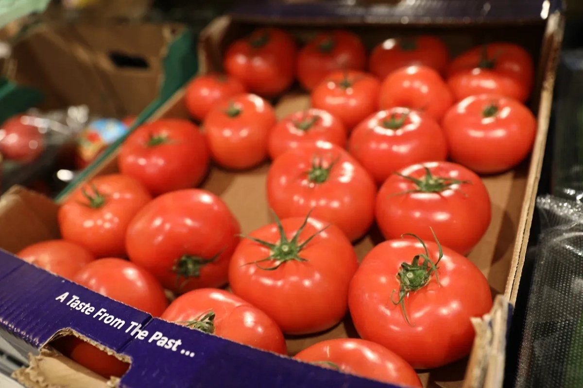 Обложка © Life.ru