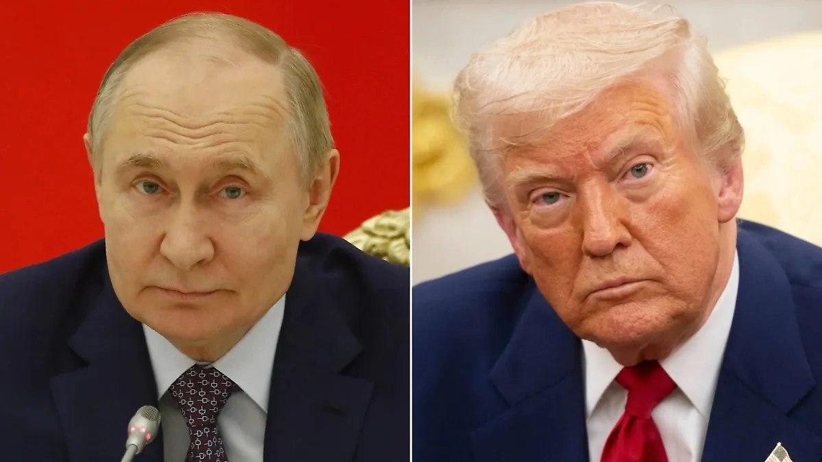 Обложка © Life.ru, © Shutterstock / FOTODOM / noamgalai