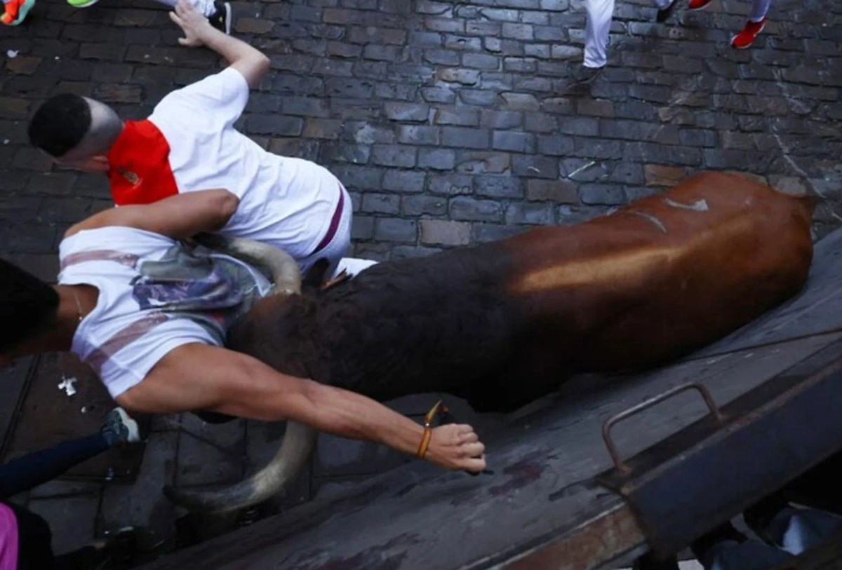 Обложка © Х / NoIslamNoMos