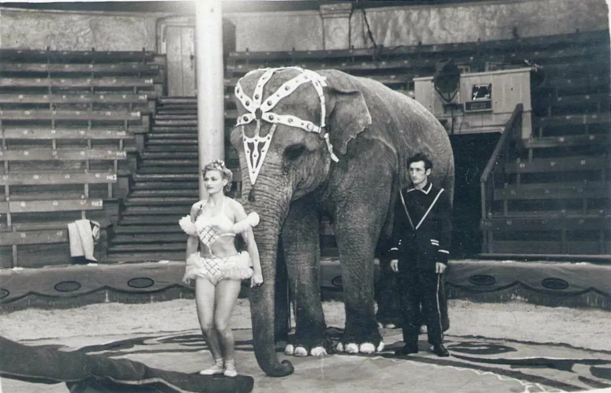 Нина Корнилова. Обложка © Росгорцирк