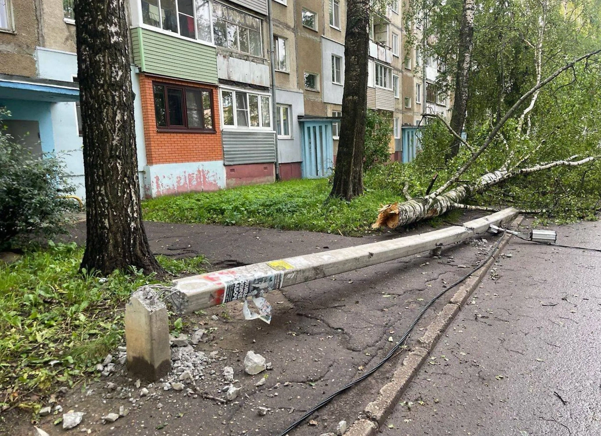 Последствия урагана в Ярославской области. Фото © Telegram / Ярославль с огоньком