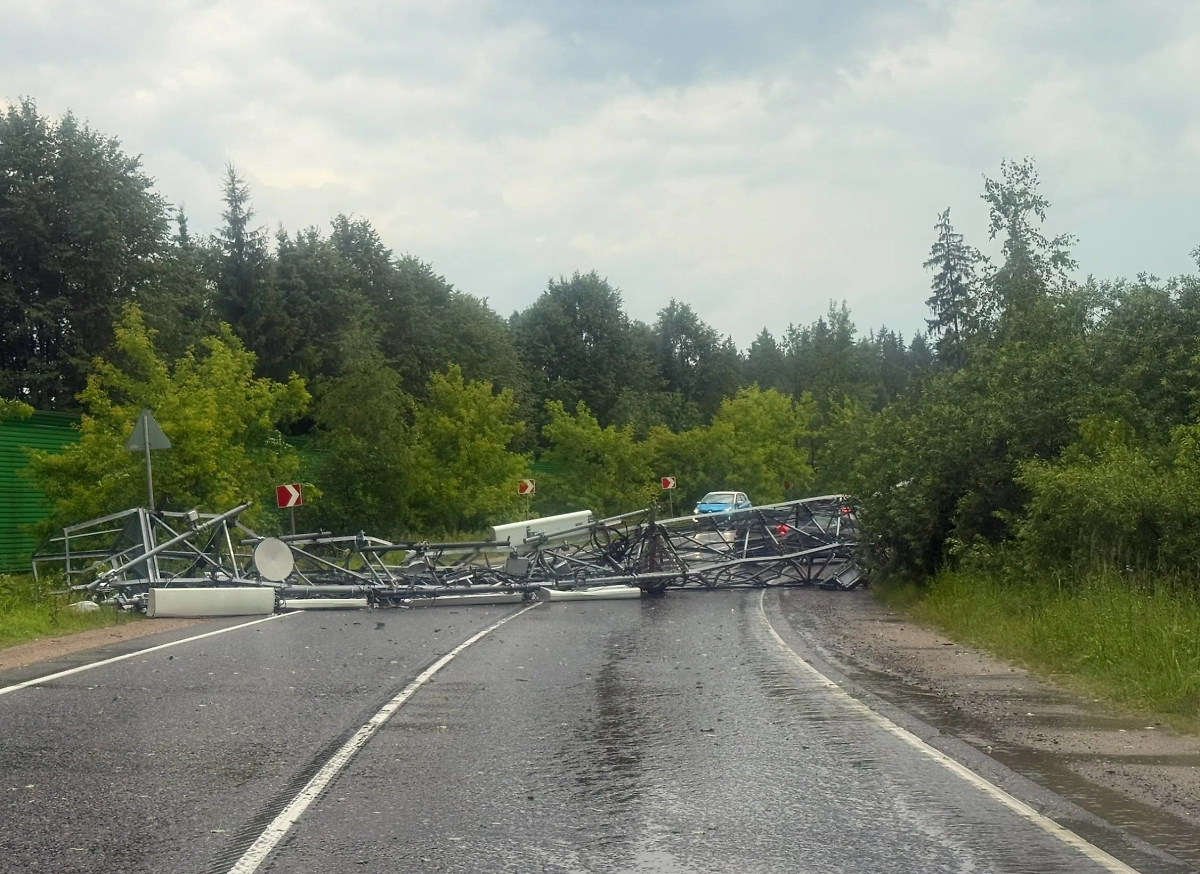 Последствия непогоды в Подмосковье. Фото © ВК / Подслушано | Истра