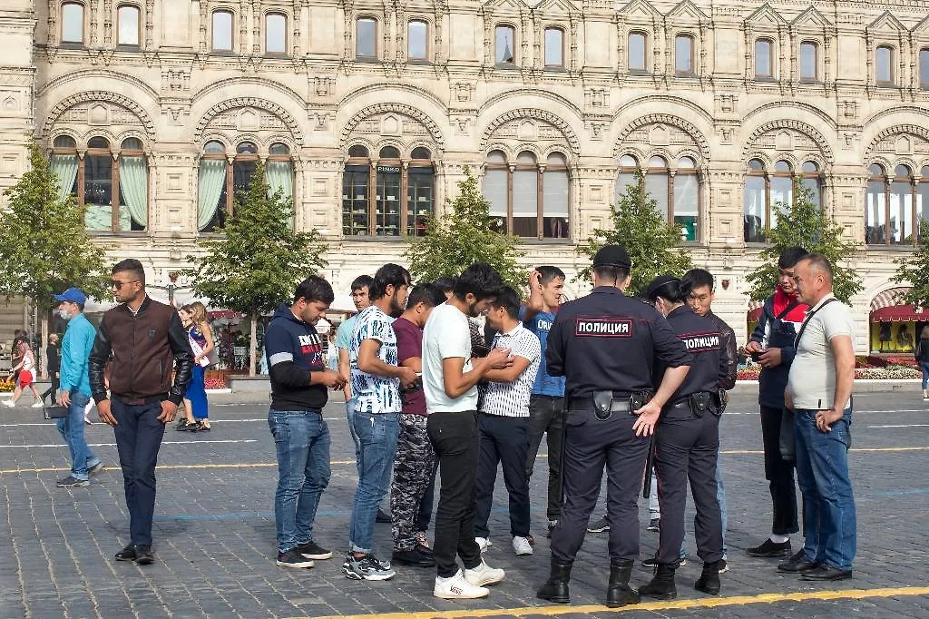 Обложка © Shutterstock / FOTODOM / Elena Rostunova