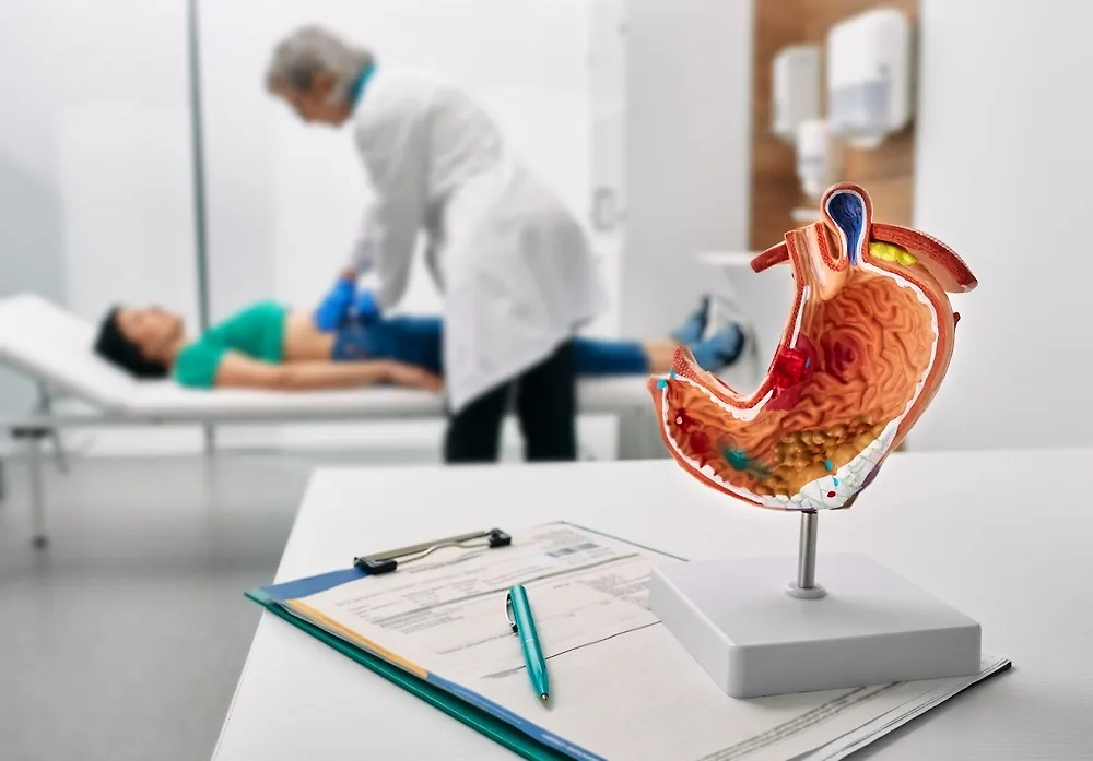 Обложка © Shutterstock / FOTODOM / Peakstock