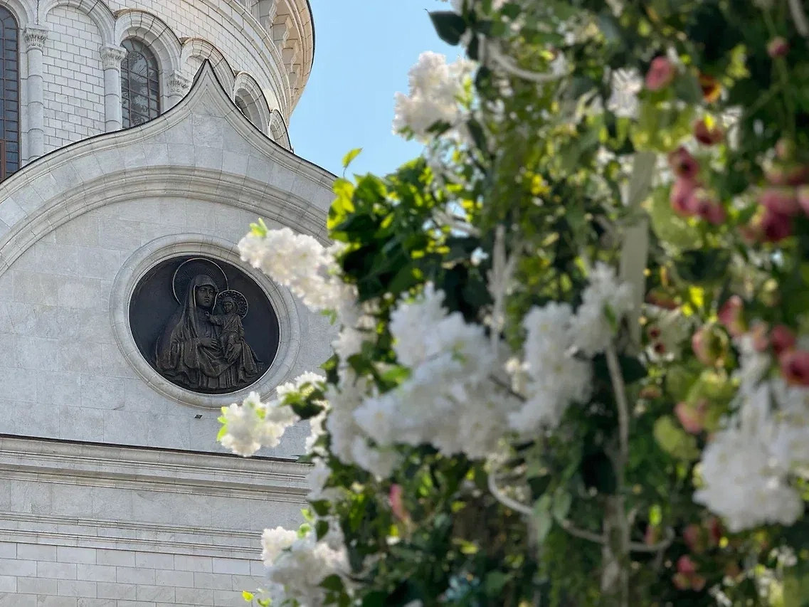 Обложка © Life.ru 