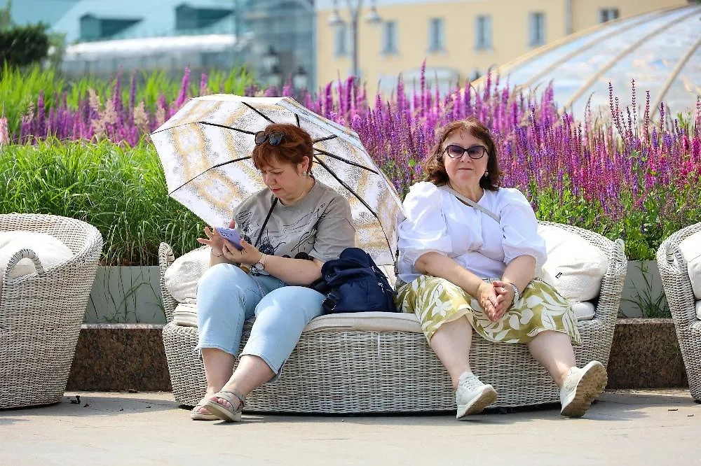 Фото © ТАСС / Олег Елков