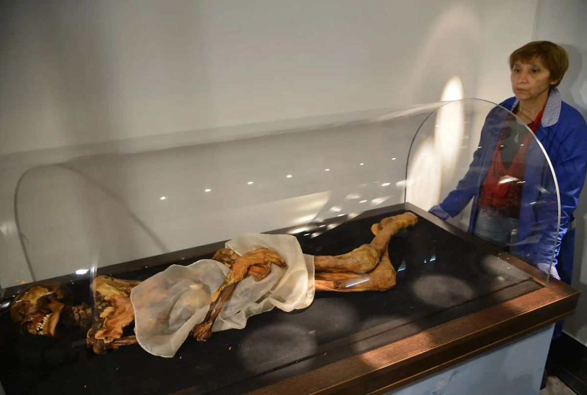 Мумия «Принцессы Укока». Обложка © ИТАР-ТАСС / Александр Тырышкин