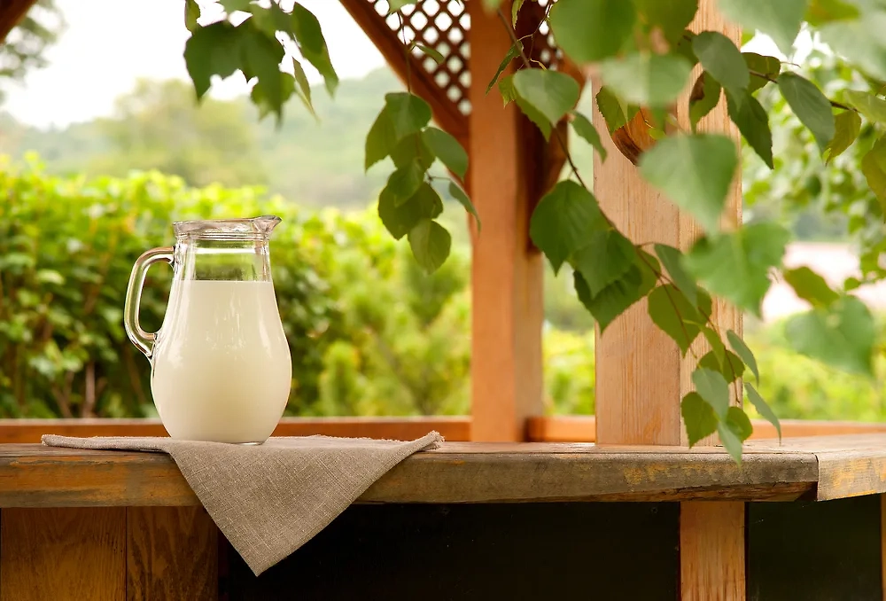 Обложка © Shutterstock / FOTODOM / Evgeniya369