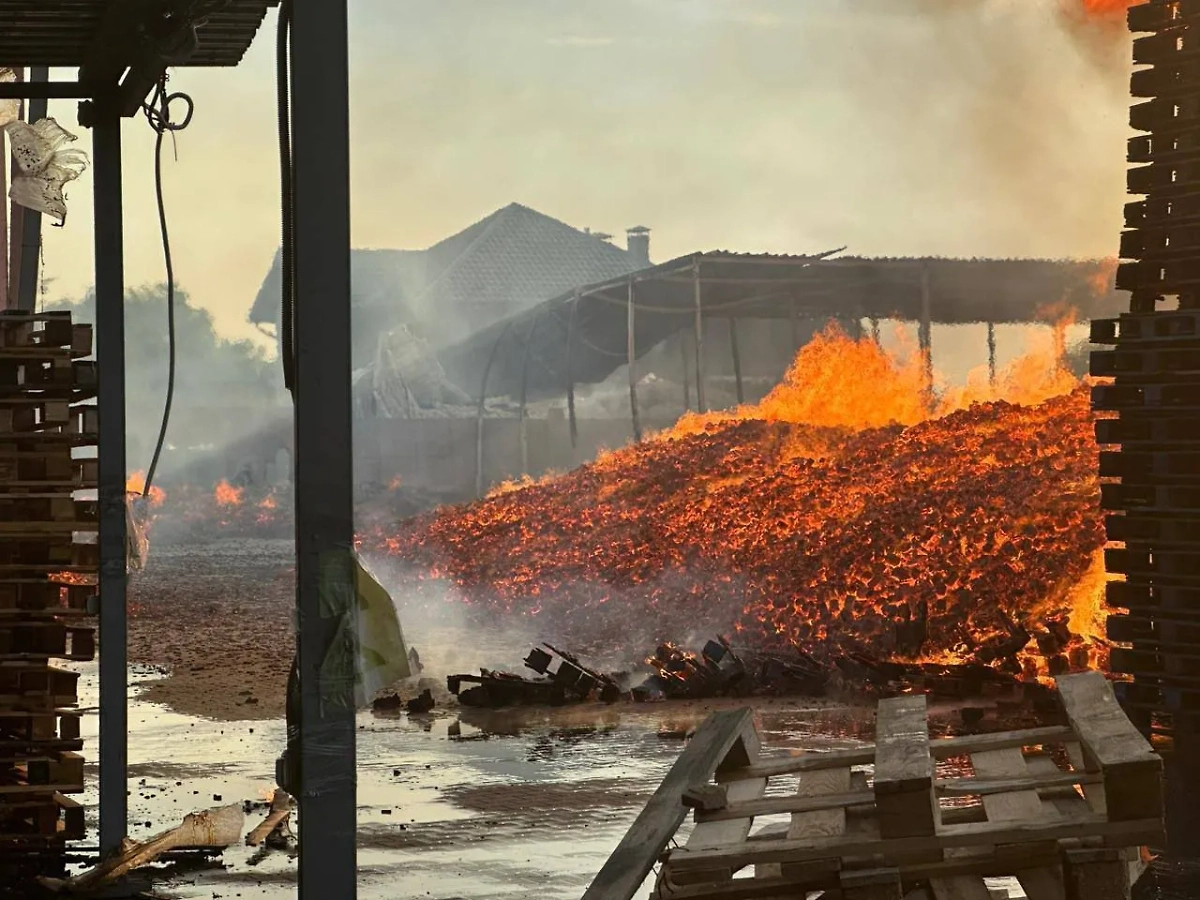 Обложка © «Страна.ua»