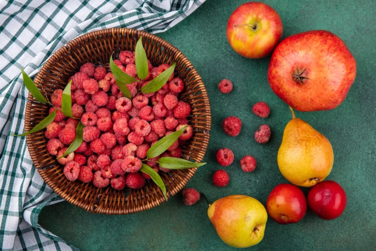 Обложка © Freepik / stockking