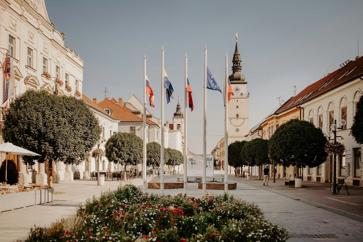 Флаги Словакии и ЕС. Обложка © unsplash.com / Trnava University