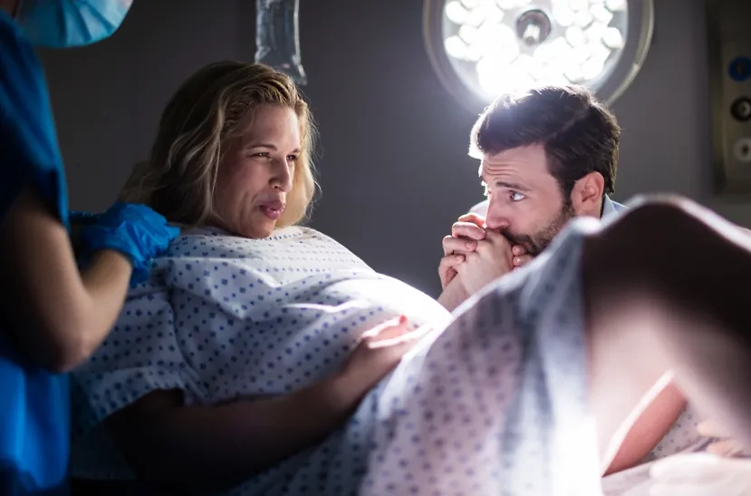 Обложка © freepik/wavebreakmedia_micro