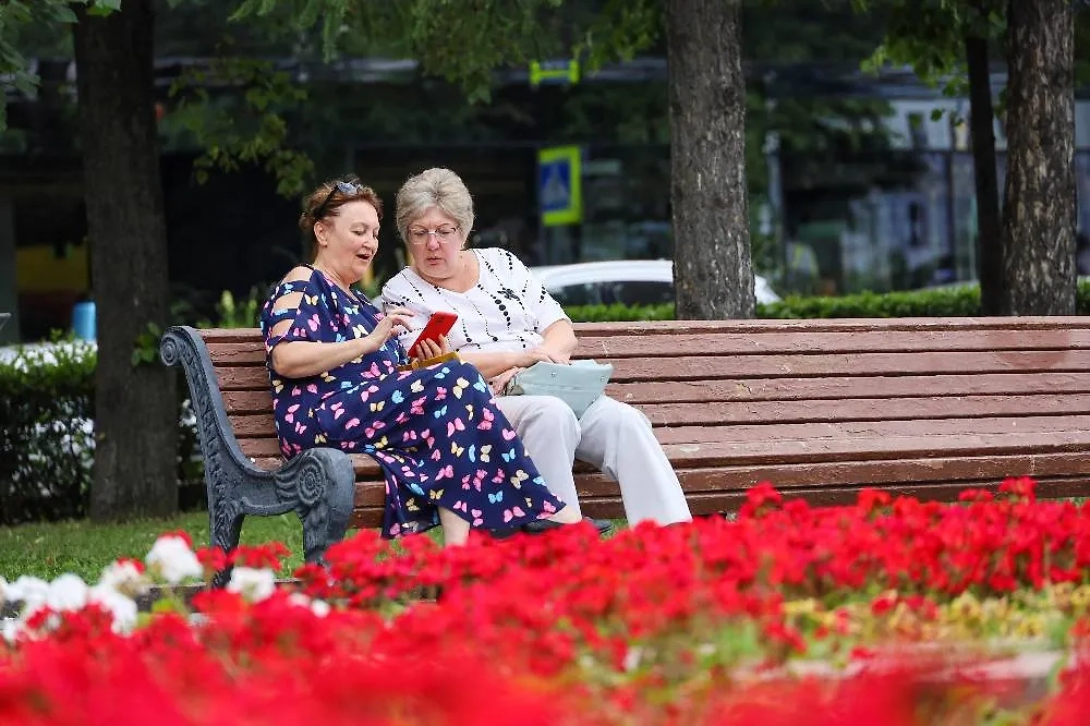 Обложка © ТАСС / Олег Елков