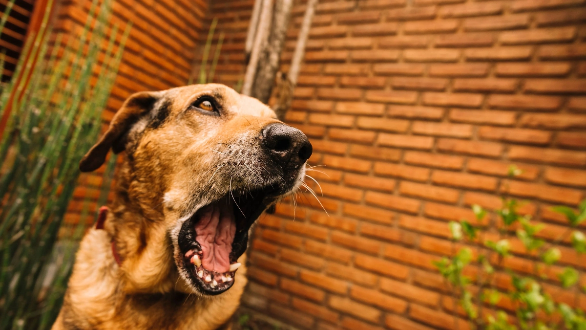 Обложка © freepik