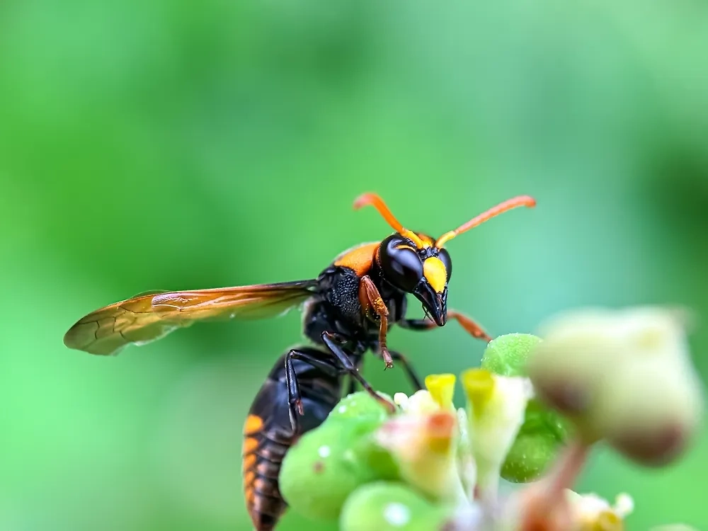 Обложка © Shutterstock / FOTODOM / Faisal.k