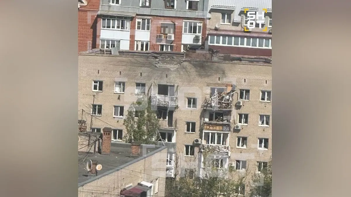 Обложка © SHOT