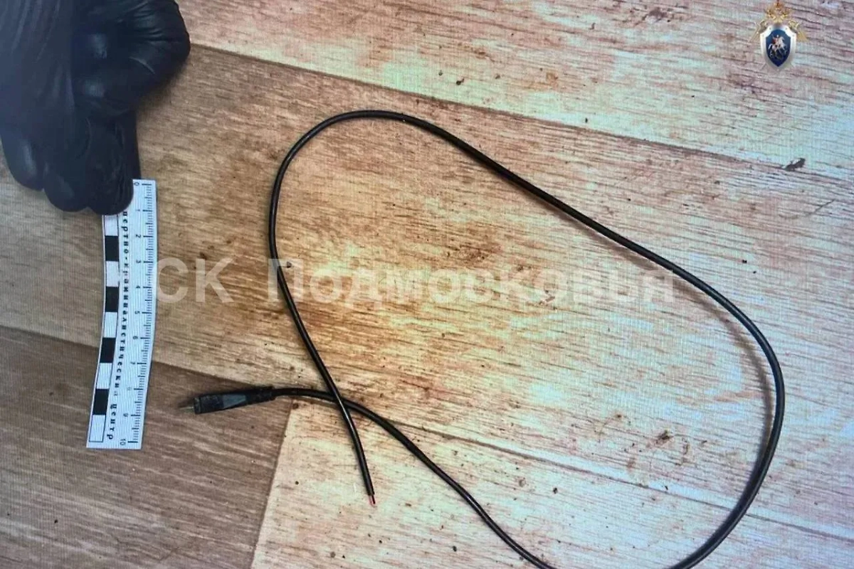 Обложка © Telegram / СК Подмосковья