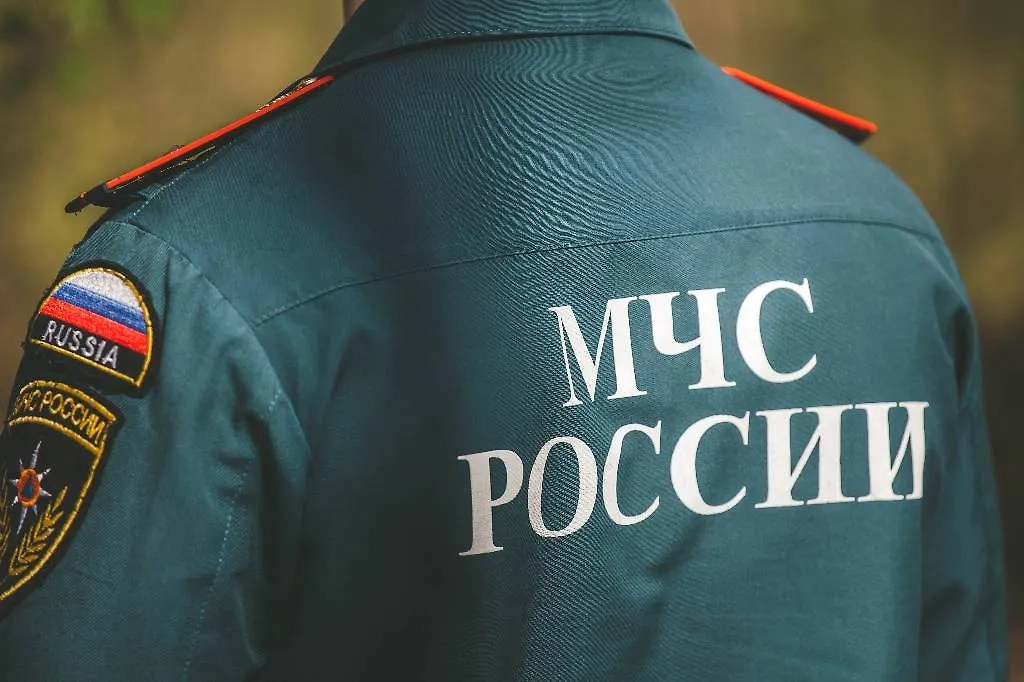 Обложка © Shutterstock / FOTODOM / Dizzy_Studio