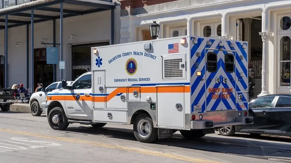 Обложка © Shutterstock / FOTODOM / JHVEPhoto