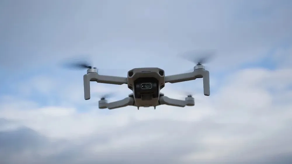 Обложка © Shutterstock / FOTODOM / Lukas Beno