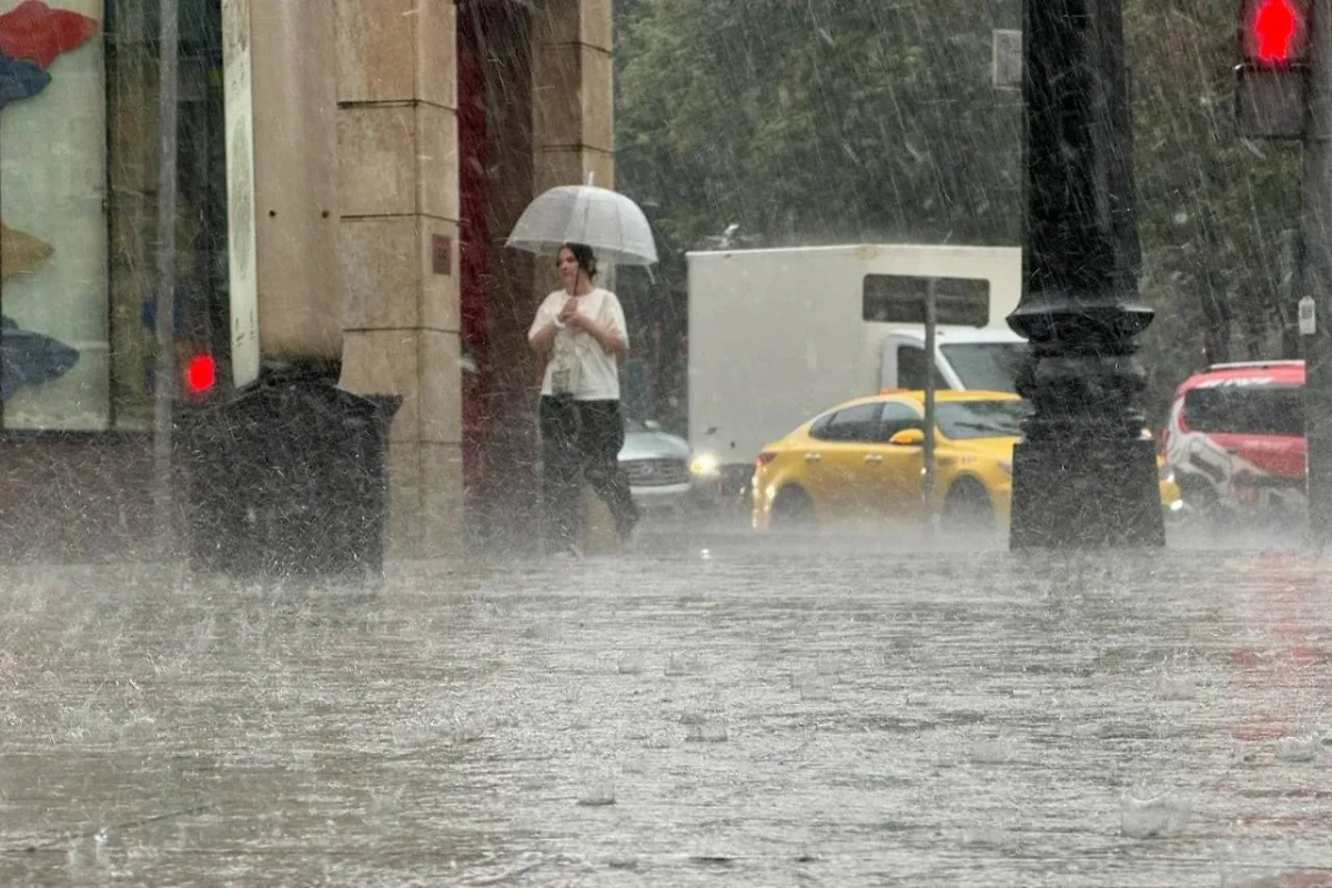 Обложка © Life.ru