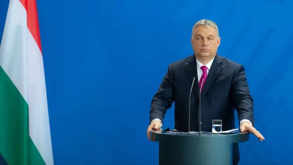 Обложка © Shutterstock / FOTODOM / photocosmos1