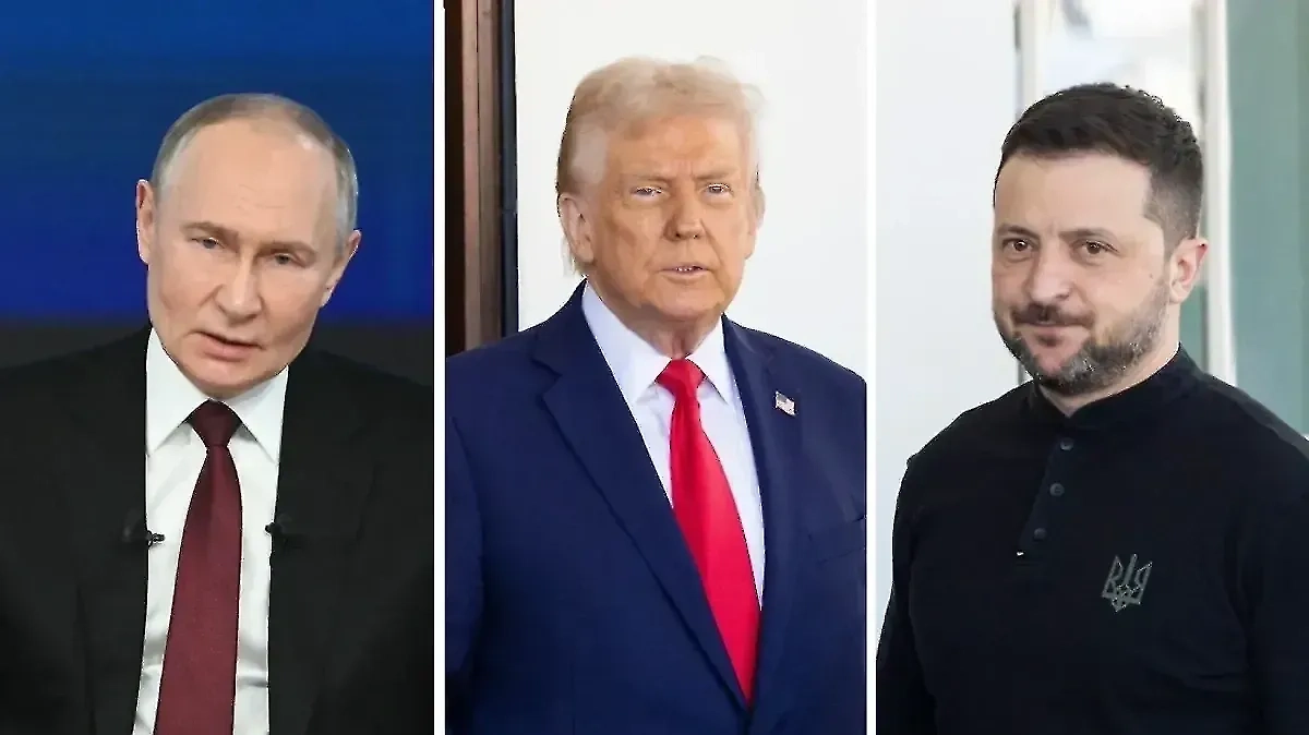 Владимир Путин, Дональд Трамп и Владимир Зеленский. Обложка © Life.ru, © Shutterstock / FOTODOM / Joshua Sukoff