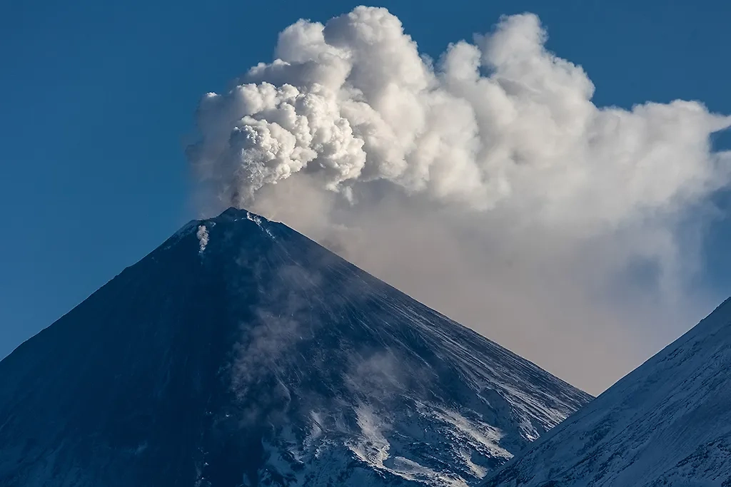 Обложка © ТАСС / Елена Верещака