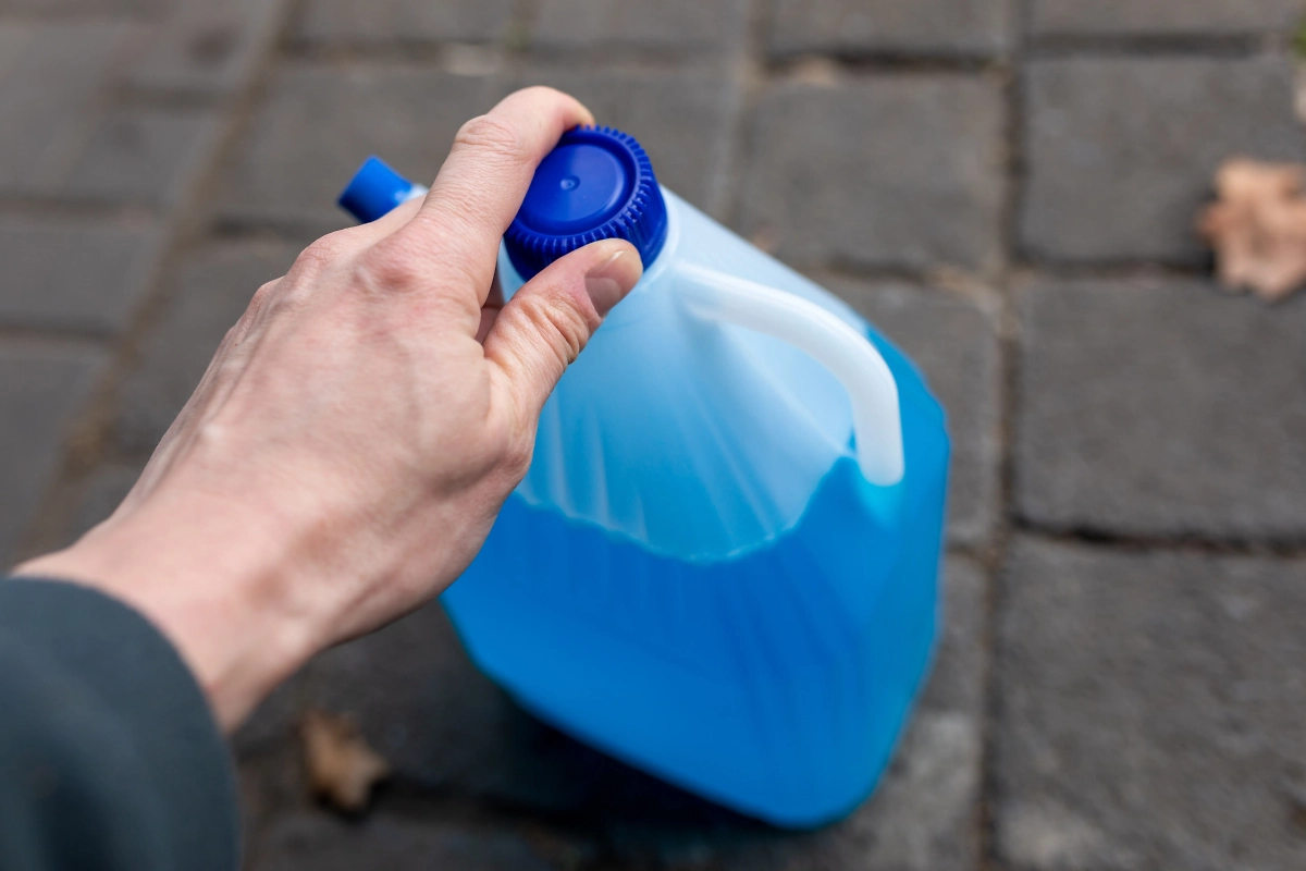 Обложка © Shutterstock / FOTODOM / Stefan Werner