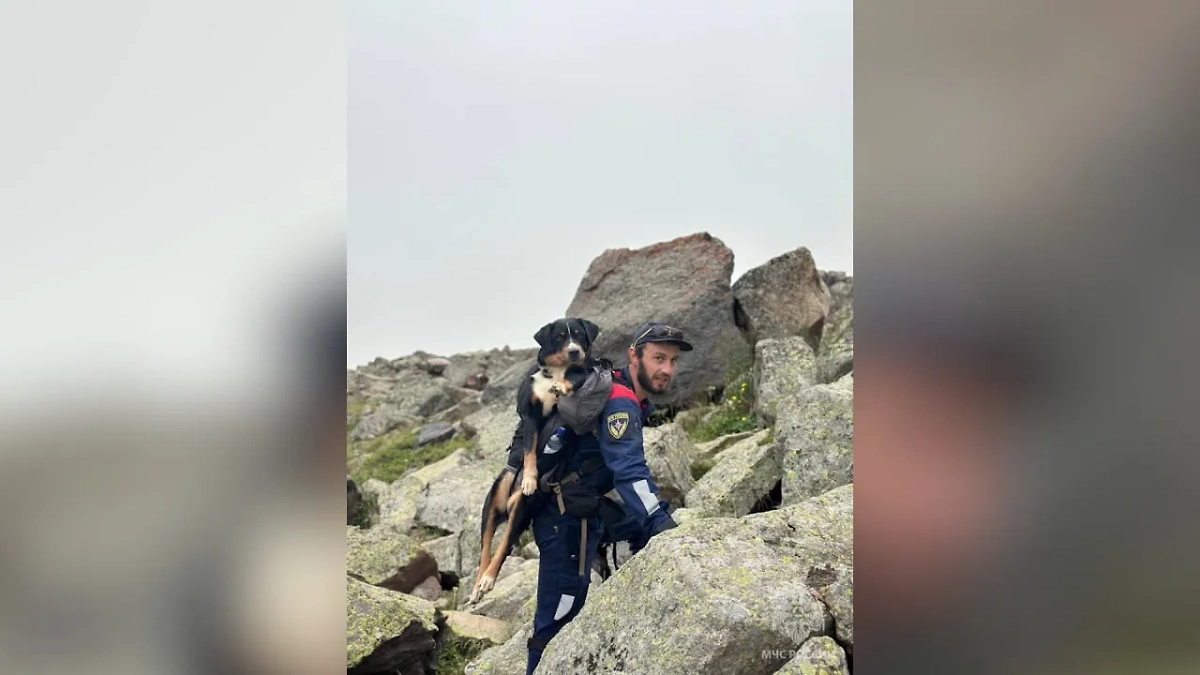 Обложка © Telegram/ МЧС Кабардино-Балкарии