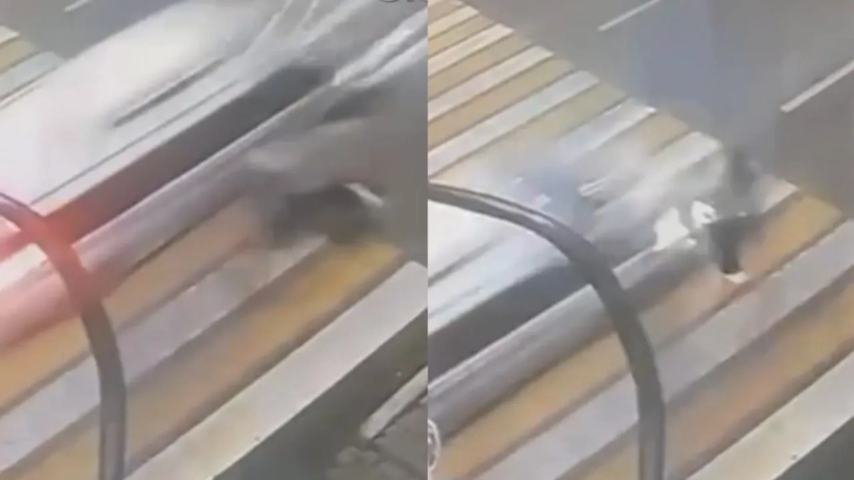 Водитель снёс девушку на переходе в Горно-Алтайске. Обложка © Telegram / Mash Siberia