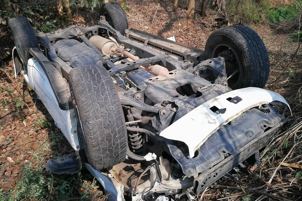 Обложка © Shutterstock / FOTODOM / ptaa2010