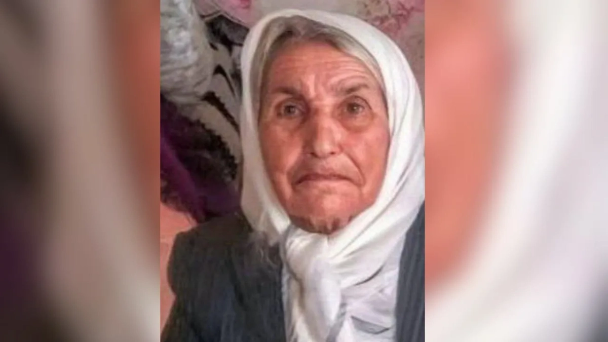 Пропала одна из самых пожилых жительниц Нижегородской области — ей 110 лет. Обложка © Telegram / Ni Mash