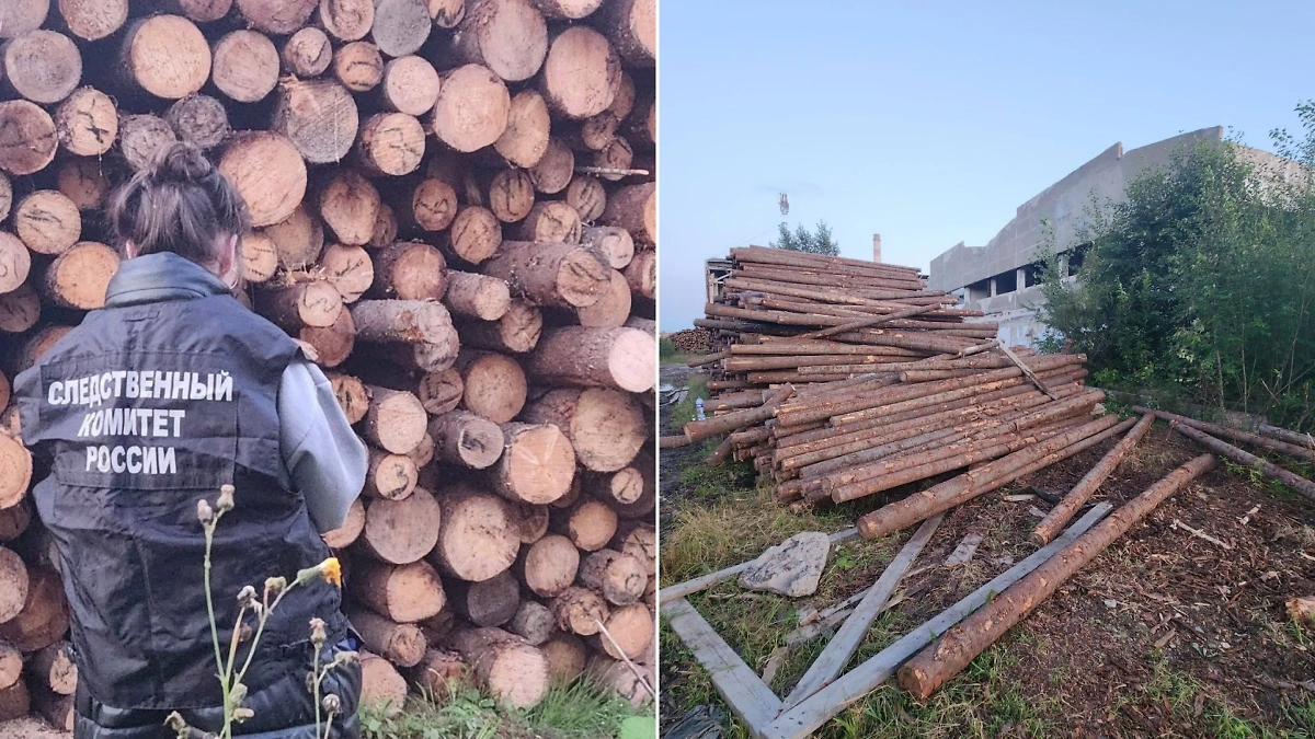 Кадры с места ЧП. Обложка © Telegram / СУ СК России по Пермскому краю