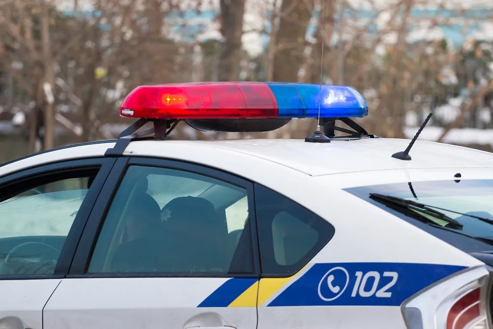 Обложка © Shutterstock / FOTODOM / ViktoriaIvanets