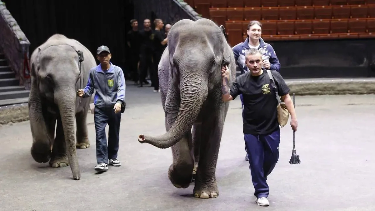 Обложка © Life.ru