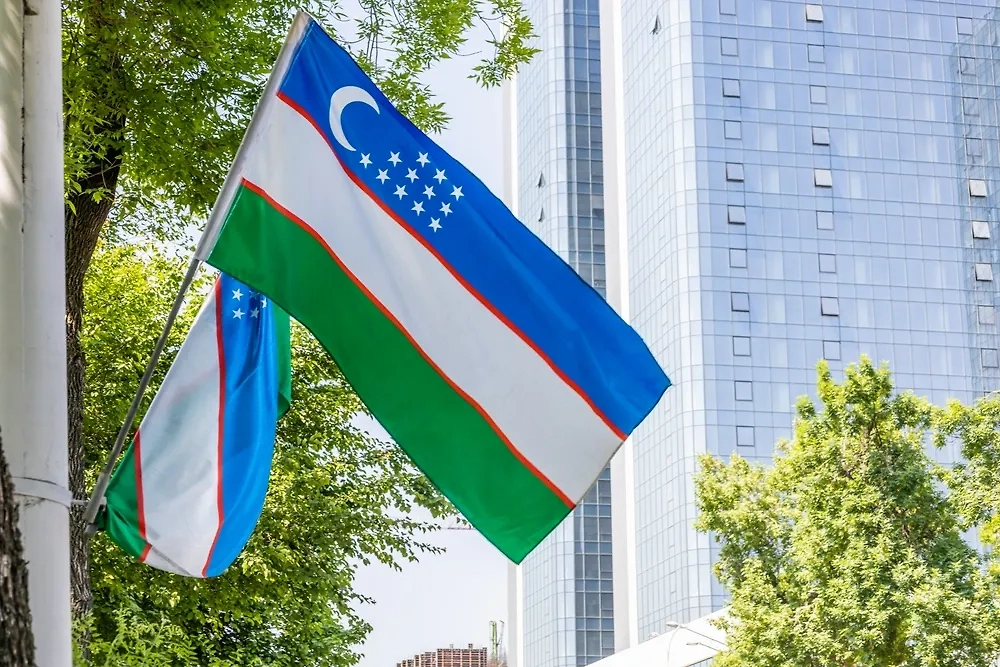 Обложка © Shutterstock / FOTODOM / phtash