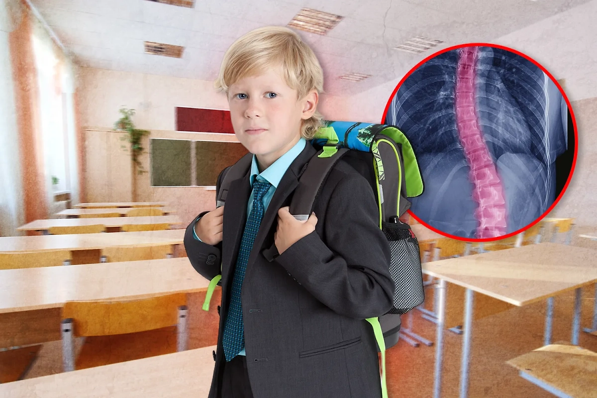 Рюкзак для школьника — как правильно выбрать. Коллаж © Life.ru. Обложка © Shutterstock / FOTODOM / Kekyalyaynen, Vereshchagin Dmitry, ChooChin