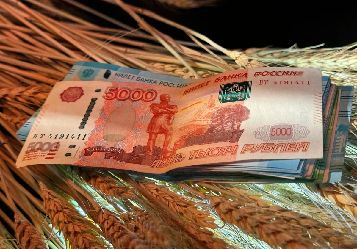 Деньги. Обложка © Life.ru