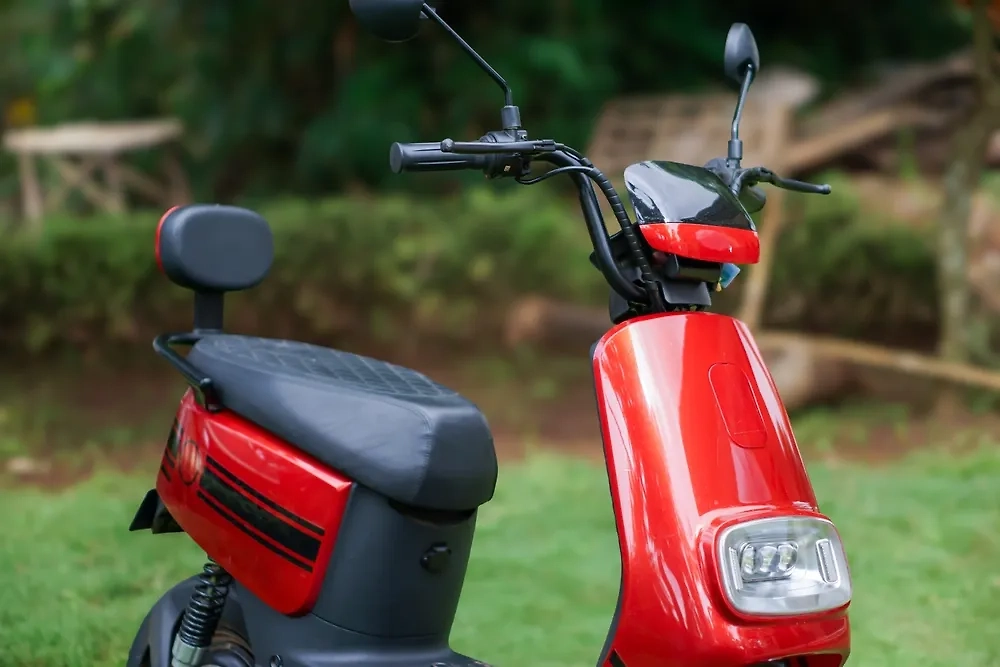 Обложка © Shutterstock / FOTODOM / Rizki_009