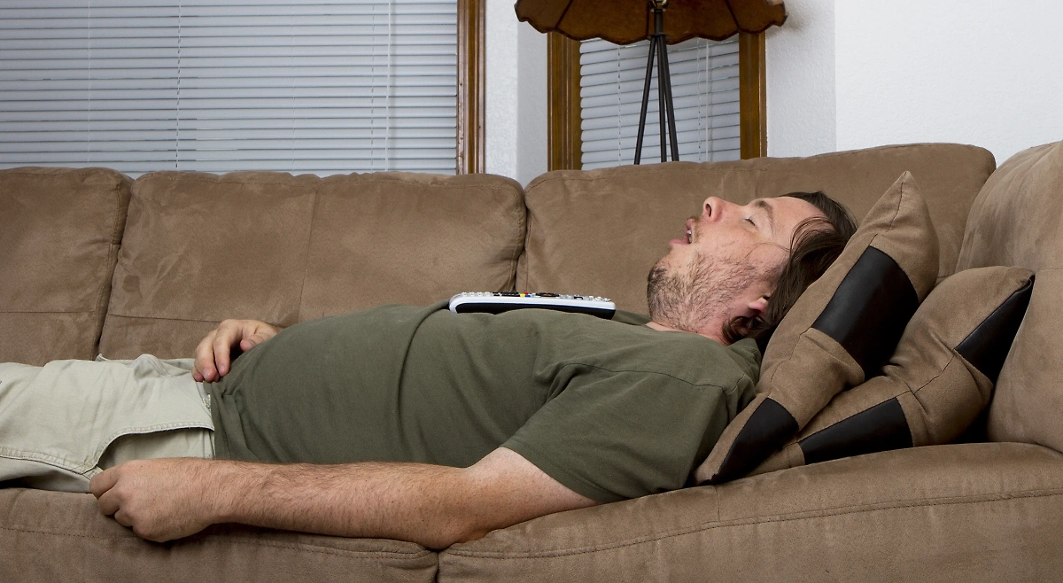 Обложка © Shutterstock / FOTODOM / txking  