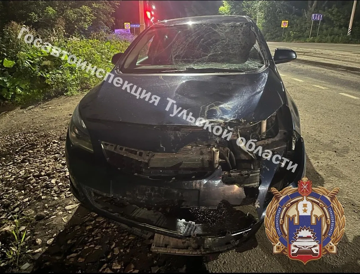 Обложка © Telegram / Госавтоинспекция Тульской области