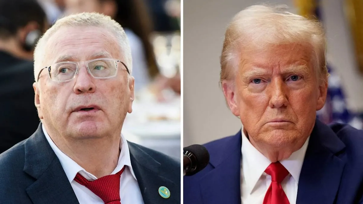 Владимир Жириновский и Дональд Трамп. Обложка © Shutterstock / FOTODOM / paparazzza, Brian Jason