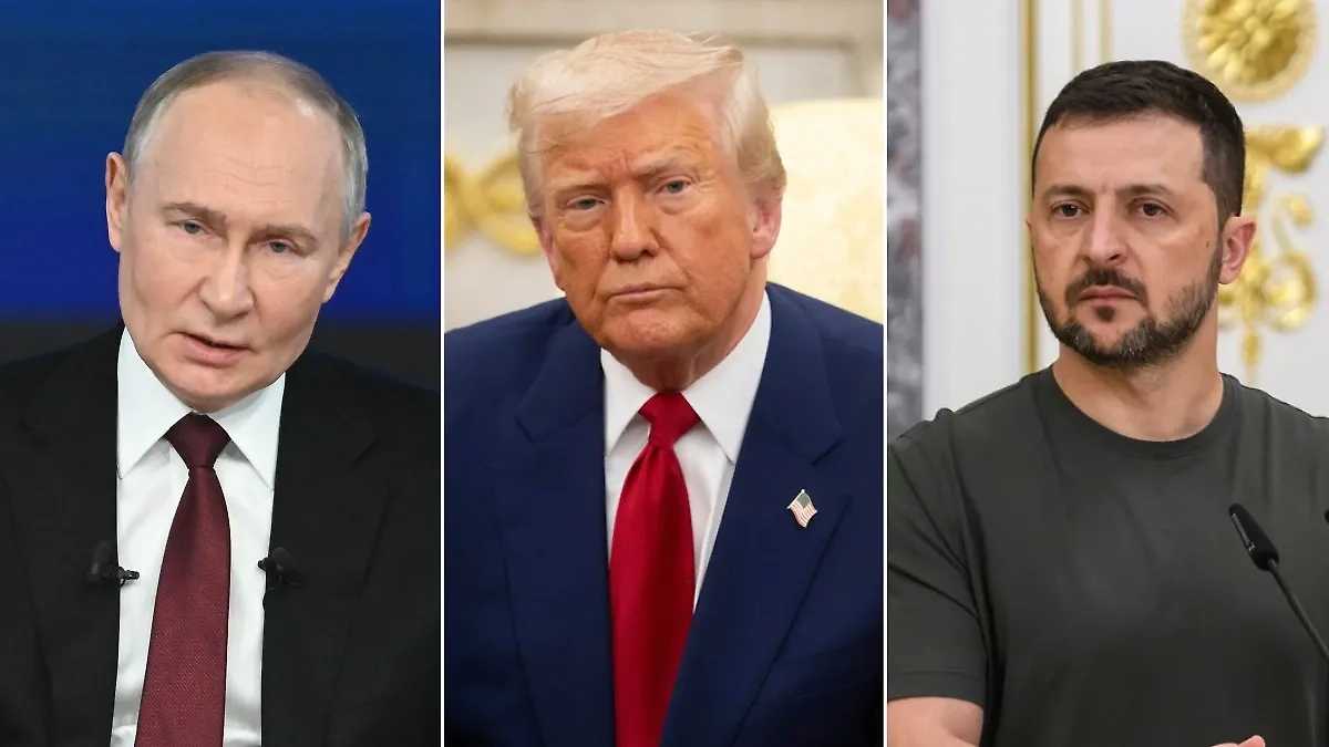 Обложка © Life.ru, © Shutterstock / FOTODOM / noamgalai, paparazzza