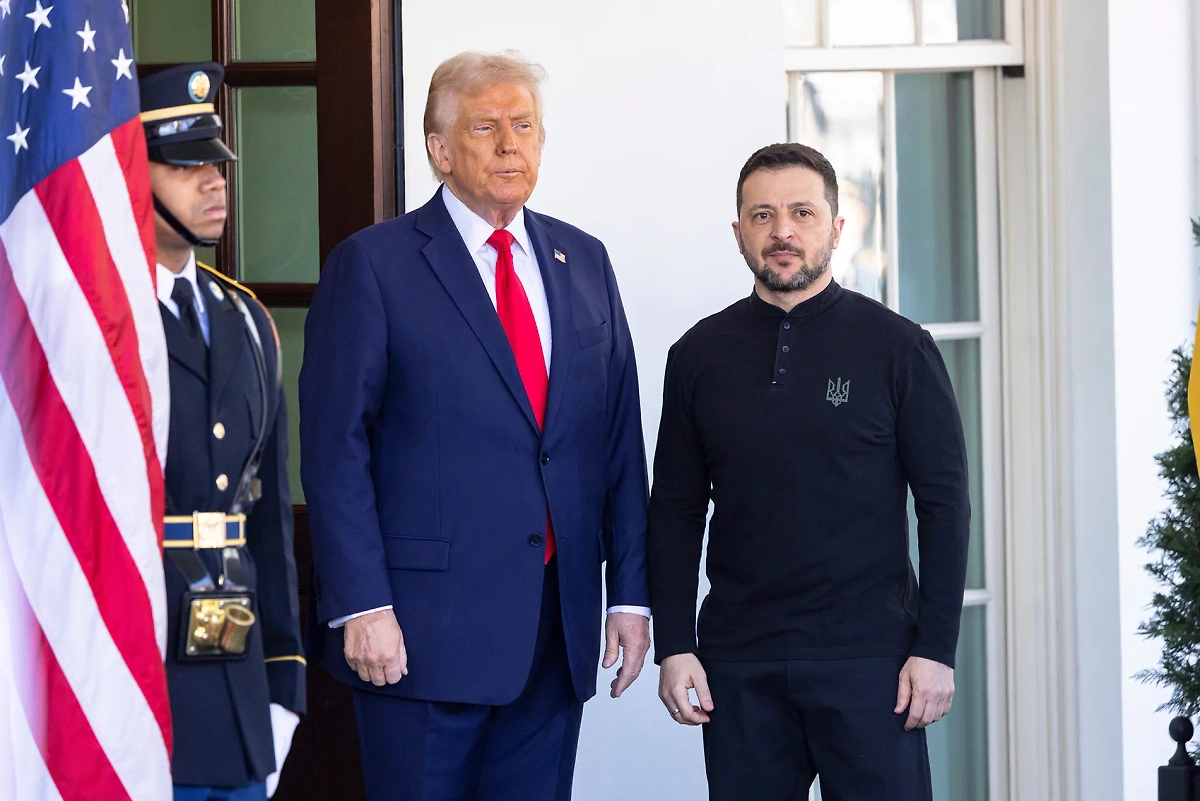 Дональд Трамп и Владимир Зеленский. Обложка © Shutterstock / FOTODOM / Joshua Sukoff